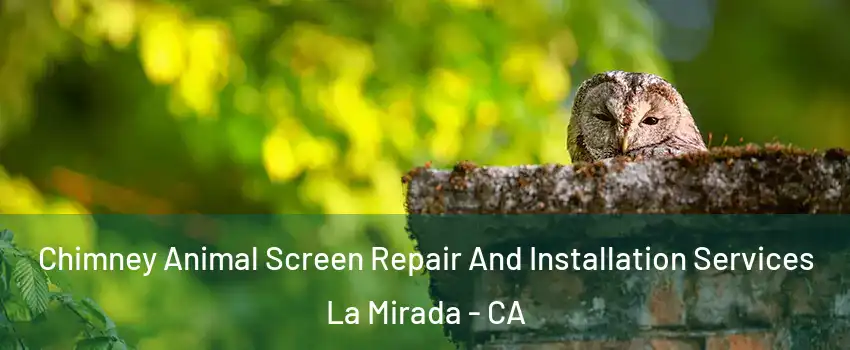  Chimney Animal Screen Repair And Installation Services La Mirada - CA