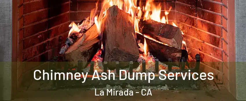  Chimney Ash Dump Services La Mirada - CA