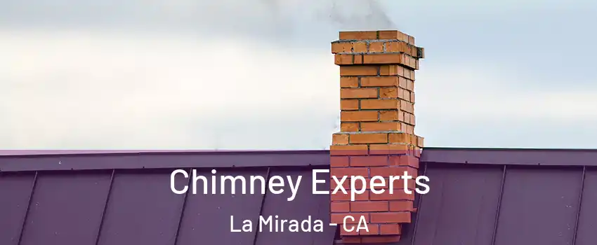  Chimney Experts La Mirada - CA