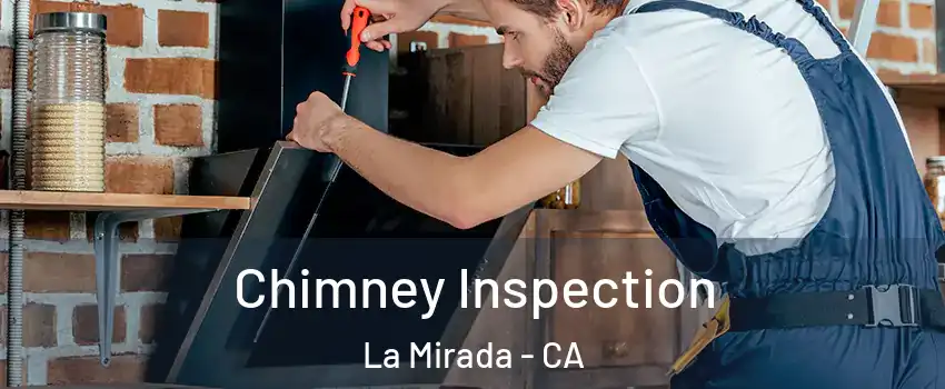  Chimney Inspection La Mirada - CA