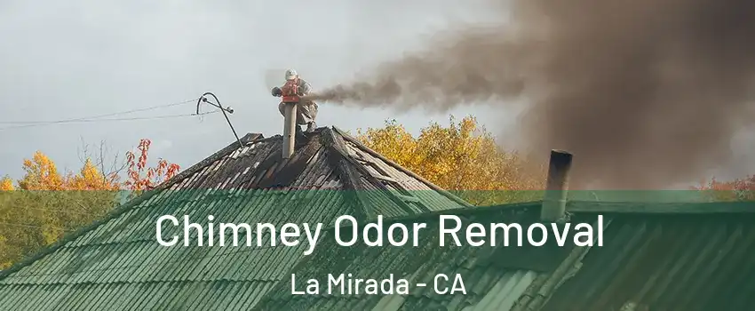  Chimney Odor Removal La Mirada - CA