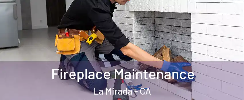  Fireplace Maintenance La Mirada - CA