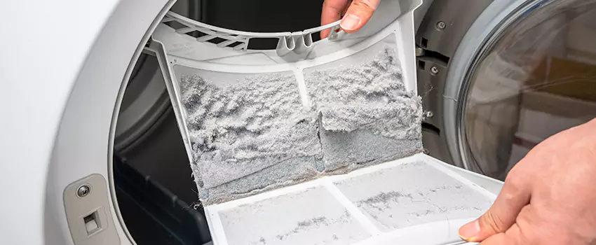 Best Dryer Lint Removal Company in La Mirada, California