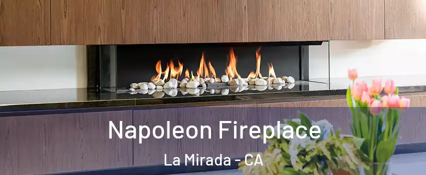 Napoleon Fireplace La Mirada - CA
